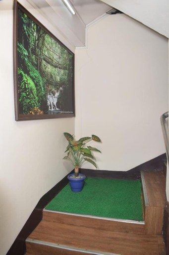Others 4, White Rabbit Guest House, East Khasi Hills