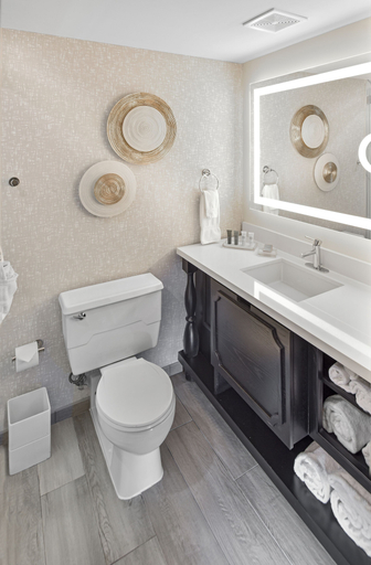 Bathroom 5, Hilton Appleton Paper Valley, Outagamie