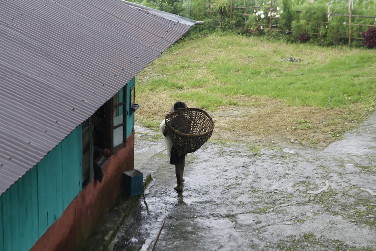 Others 2, Vamoose Borong Polok Village Homestay, South Sikkim
