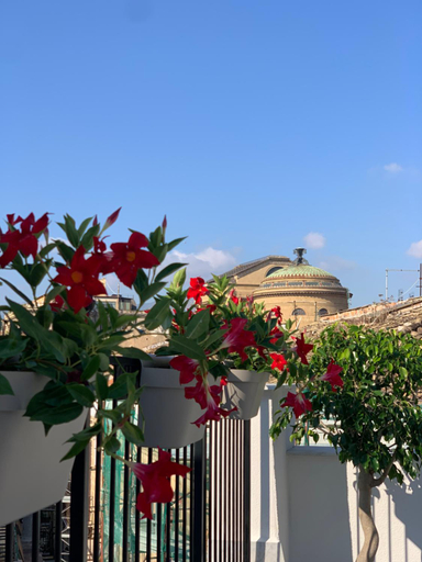 Others 5, Peonia Boutique Apartments, Palermo