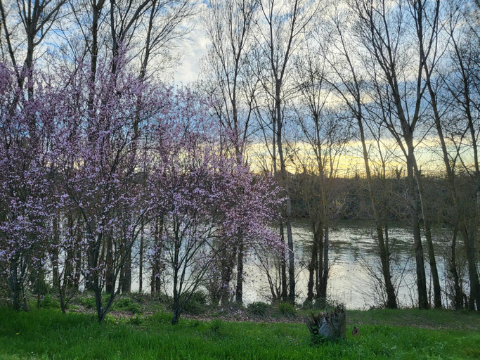 Others 2, WonderBar (Auberge du Trinquet), Tarn-et-Garonne
