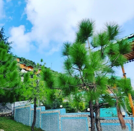 Others 5, Heaven's Retreat, Solan