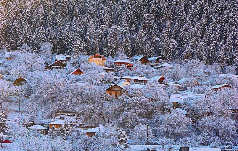 Others 2, Friendly House, Borjomi