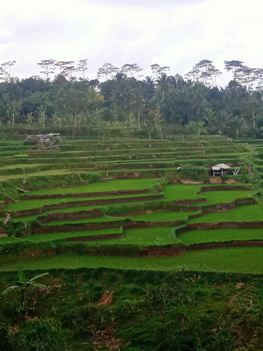Scenery 1