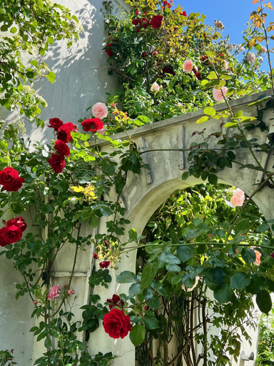 Others 5, Villa Rosengarten auf der Sonneninsel Fehmarn, Ostholstein