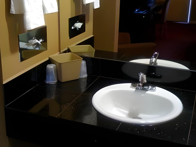 Bathroom 4, Rodeway Inn San Jose HWY-101 Tully Rd Exit, Santa Clara