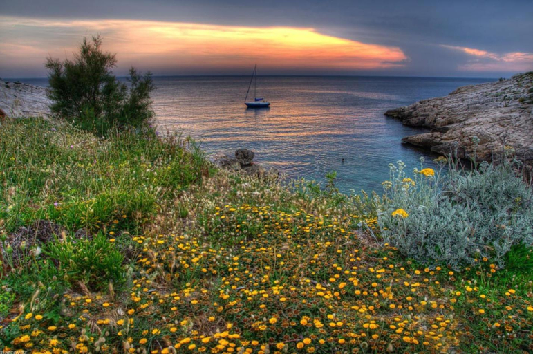 Others