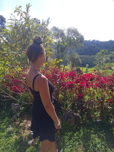 Scenery 9