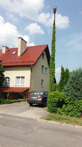 Others 5, villa, Kłodzko