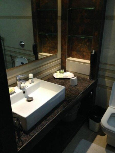 Bathroom 3, City Inn, Pune