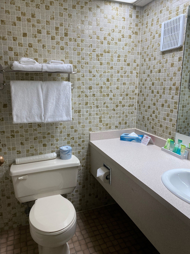 Bathroom 3, Travelodge by Wyndham Grande Prairie, Division No. 19