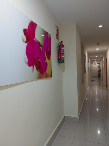 Others 5, Hostal Moncloa, Madrid