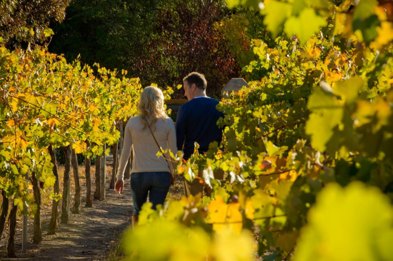 Food & Drinks, Discovery Parks - Clare, Clare and Gilbert Valleys