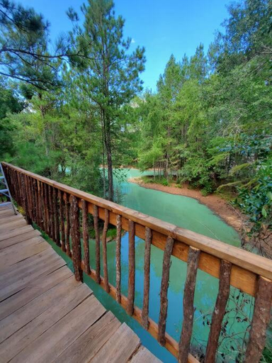 5, Waterfront Treehouse in a Magical Forest, Grimes