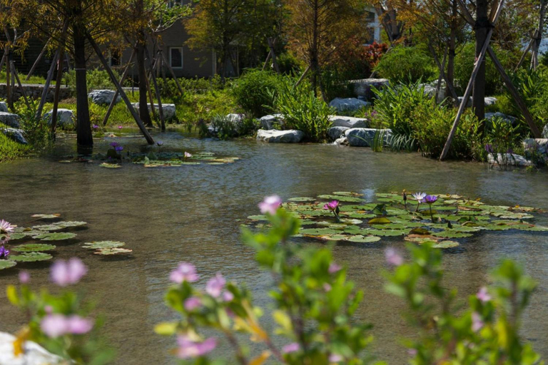 Surrounding environment, Sunnylands Farm B&b, Yilan
