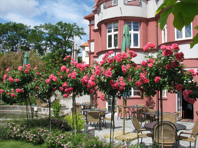 Food & Drinks 4, Hotel Villa, Praha 3