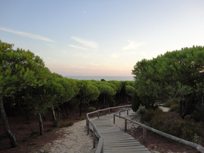 Others 5, Leo Punta Umbria, Huelva