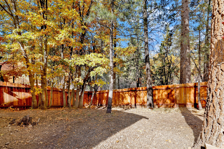 Others 5, SKI View Chalet #2215, San Bernardino
