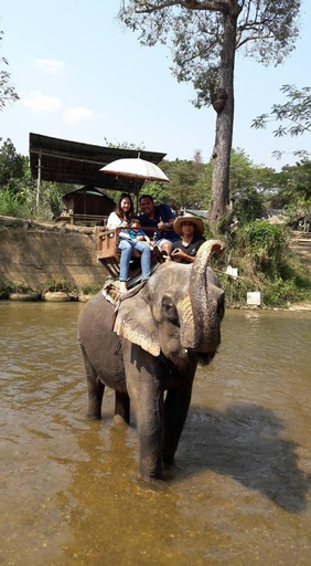 Others 3, Phutawan Pundao, Mae Taeng