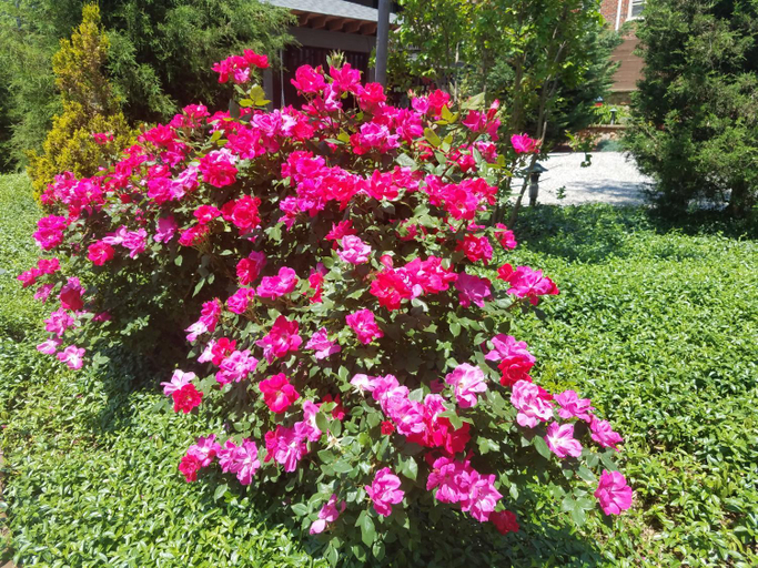 Others 5, Black Lantern Inn, Roanoke City