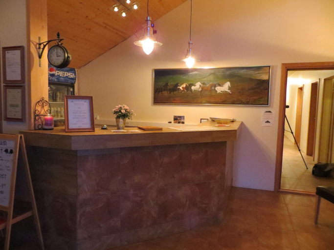 Public Area, Guesthouse Vellir, Mýrdalshreppur