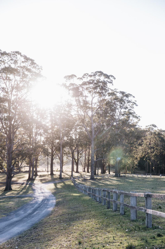 Scenery 11