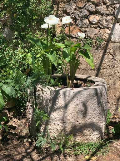 Others 5, Guest House Libertas, Dubrovnik