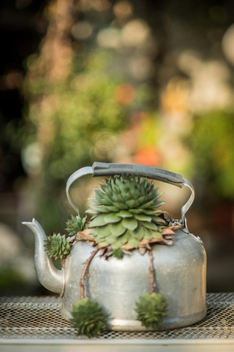 Food & Drinks 5, Agriturismo Beatilla, Mantua