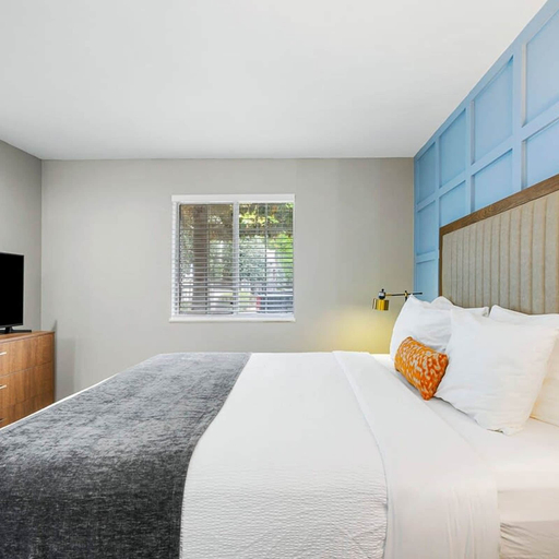 Room 5, Modern Urban Oasis in Prime Buckhead Atlanta, Atlanta