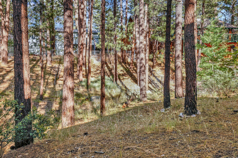 Others 5, Ashwood Pines #2331, San Bernardino