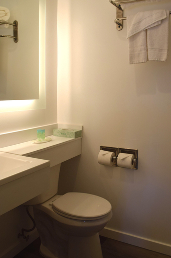 Bathroom 3, SF Central Hotel, San Francisco