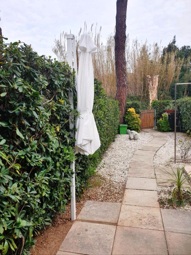Others 5, I Chioppi 6 - Goelba, Livorno