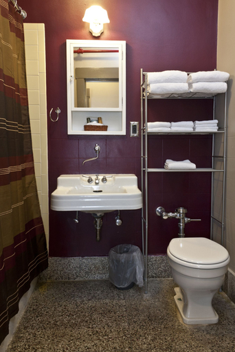 Bathroom 4, Latchis Hotel, Windham