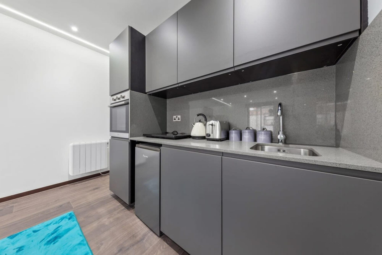 Others 4, Modern Luxury Studio Near Euston Central London, London