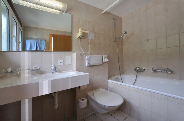 Bathroom, Hotel The Larix, Visp