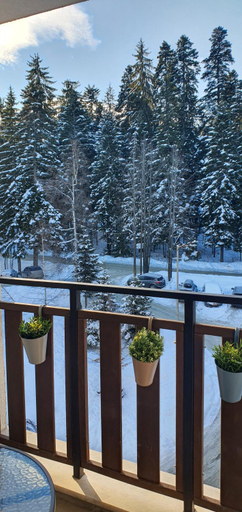 Others 2, Borovets Cozy Mountain Apartments, Samokov