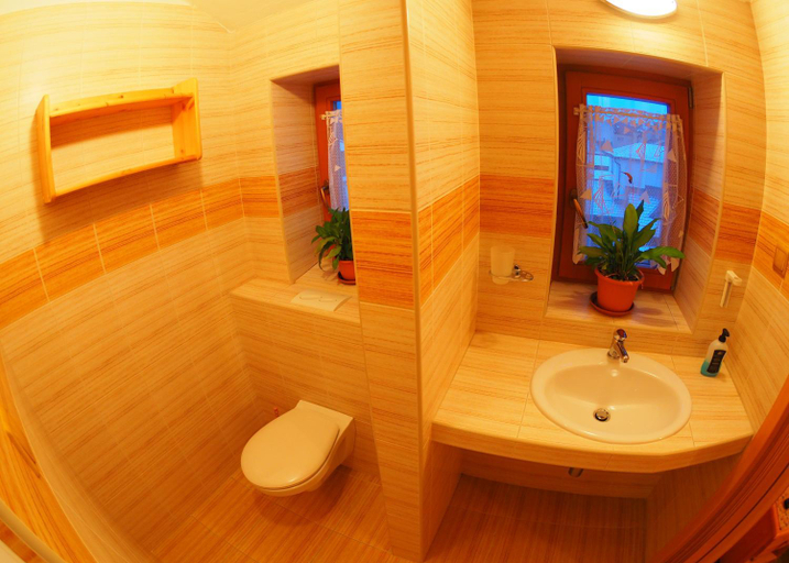 Bathroom 2, HOTEL BRITANNIA VSETIN, Vsetín