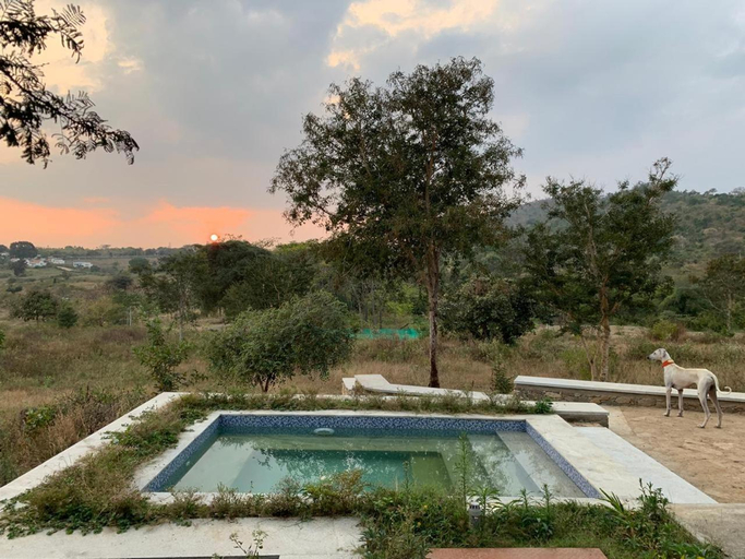 Sport & Beauty, Dholes Den Bandipur, Chamrajnagar