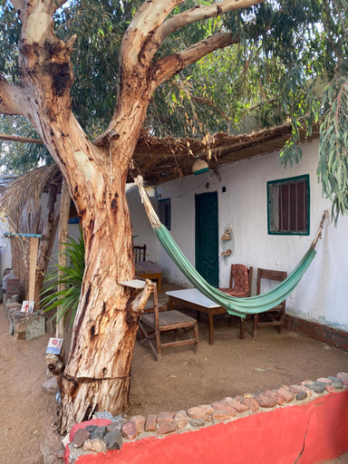 Others 4, Courtyard Eel Garden, Sant Katrin
