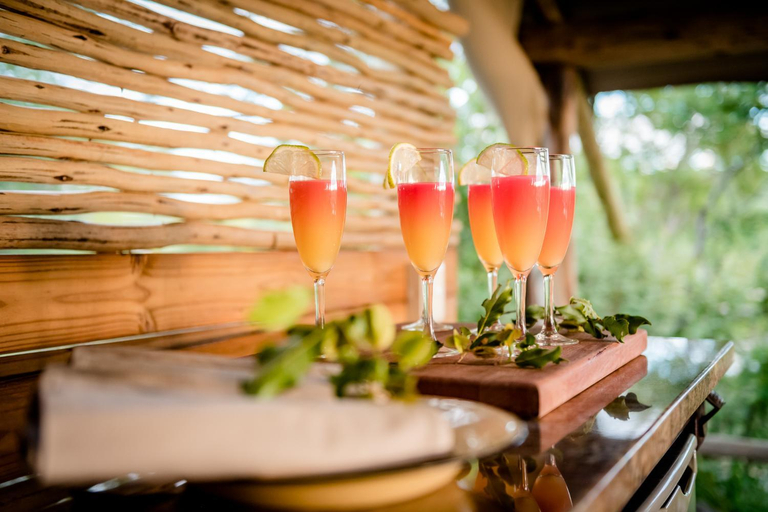 Food & Drinks 4, Bundox Explorer Camp, Mopani