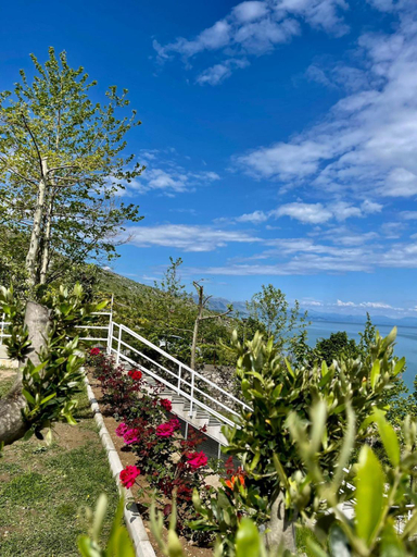 Others 2, Xhuli Guesthouse, Shkodrës