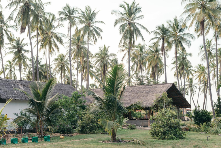 Food & Drinks 2, Luna Laguna, Kalpitiya