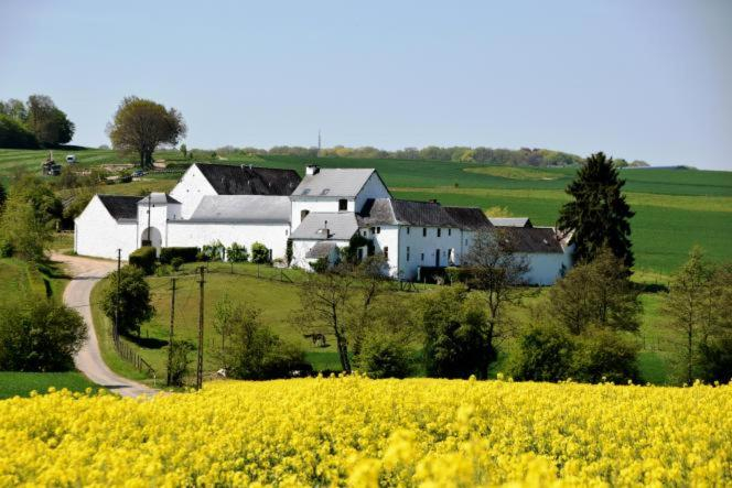 Others 5, La ferme de Basseilles, Namur