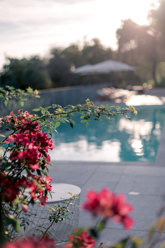 Others 5, Relais Montepepe Winery & Spa, Massa Carrara