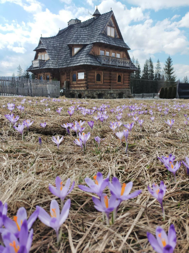 Others 3, Willa Giewontka, Tatra