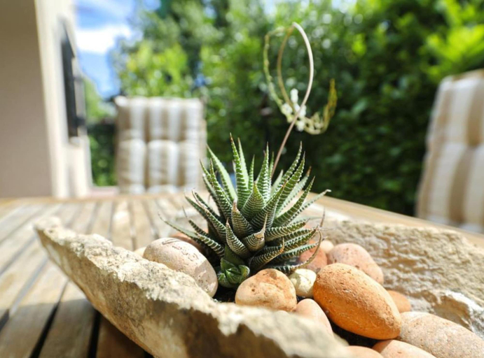 Food & Drinks, Holiday Home Mirta, Murter