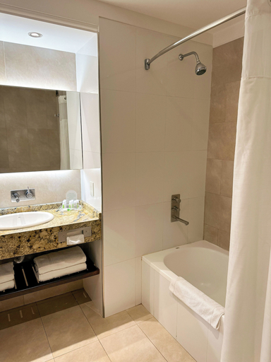 Bathroom 4, Marriott Hotel Buenos Aires Ezeiza Airport, La Matanza