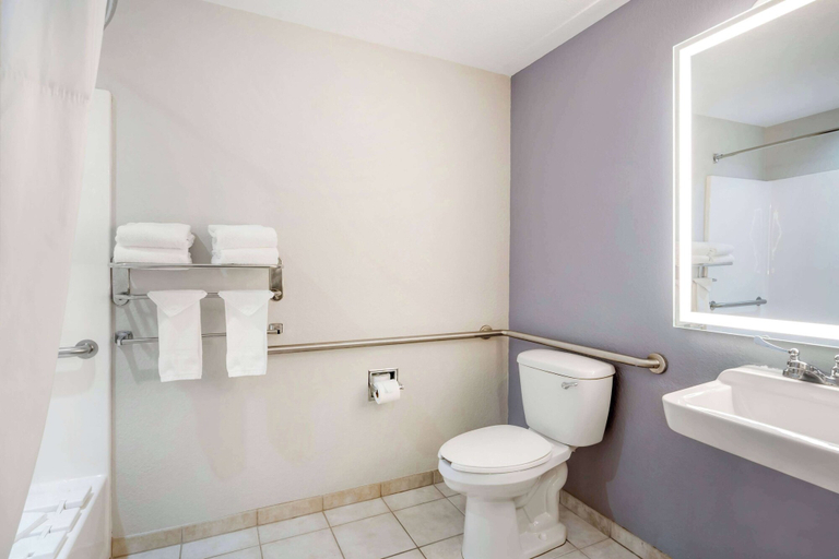 Bathroom 4, Microtel Inn & Suites by Wyndham Brooksville, Hernando