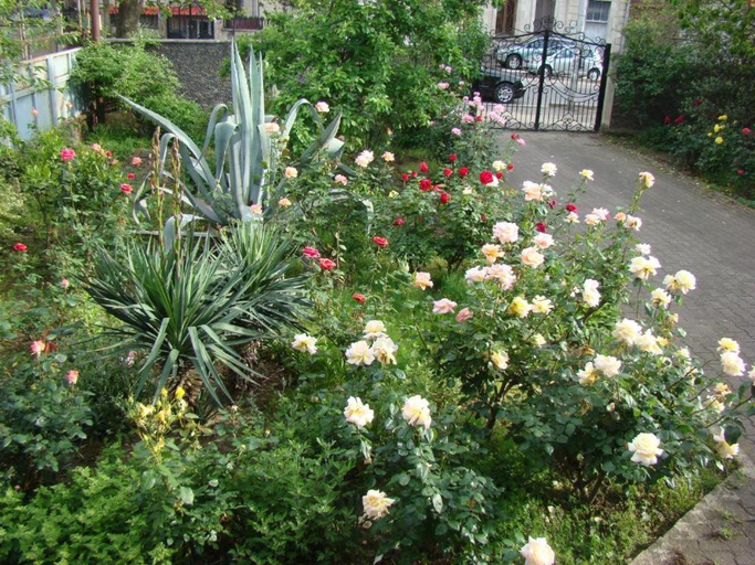 Others 4, guest house mari, Kutaisi