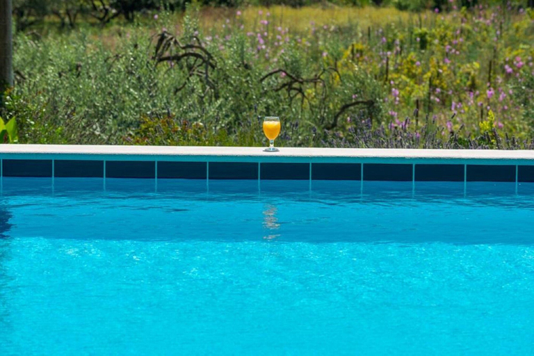 Sport & Beauty 4, Apartments Villa Harmonia, Konavle